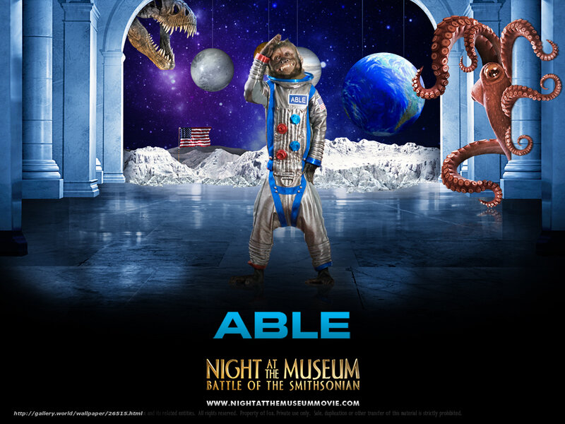 Able the monkey in space
