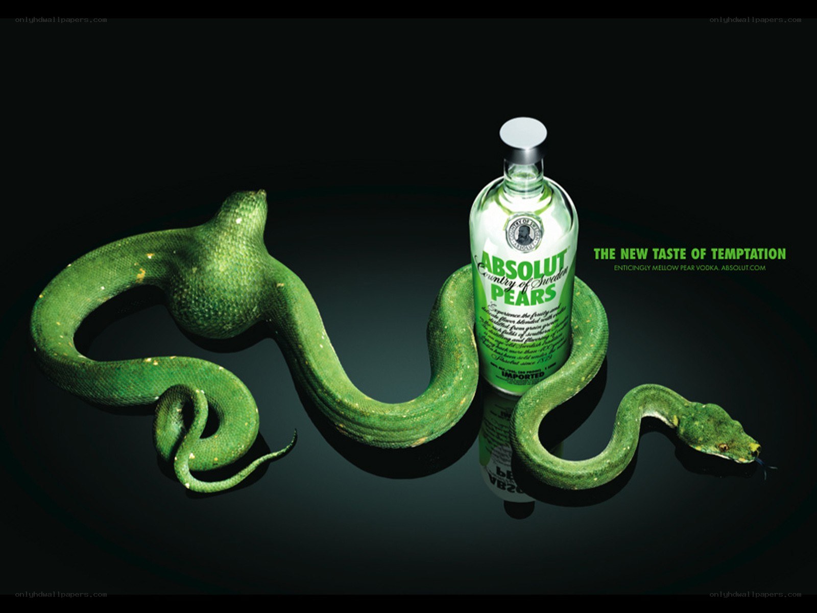 Absolut Pears bottle with green snake