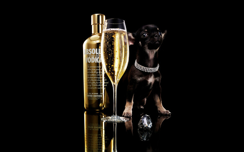 Absolut Vodka with dog
