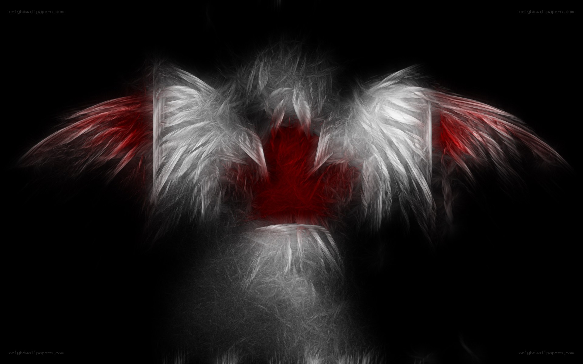 abstract angel wings art