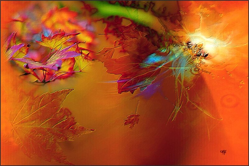 Abstract Autumn Leaves — Orange