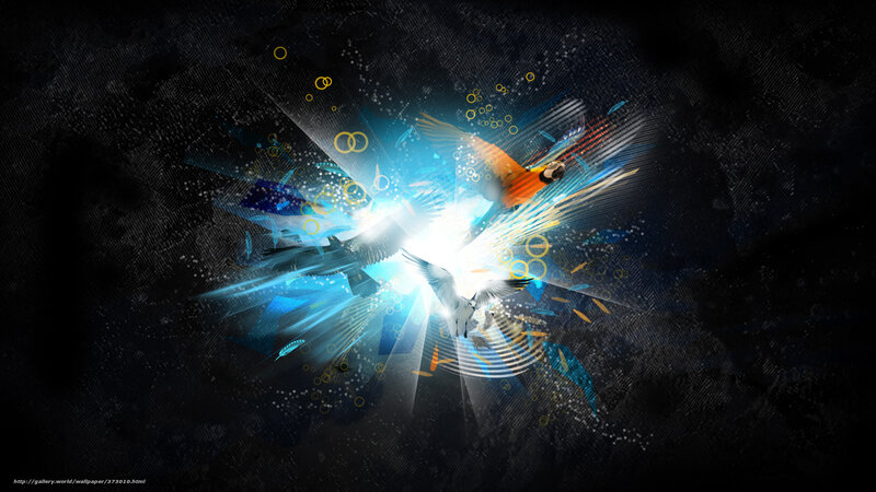 Abstract bird explosion art