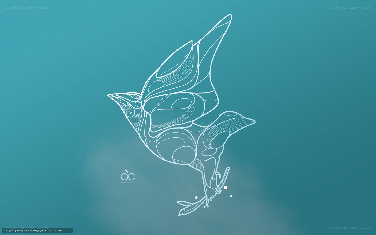 Abstract bird line art
