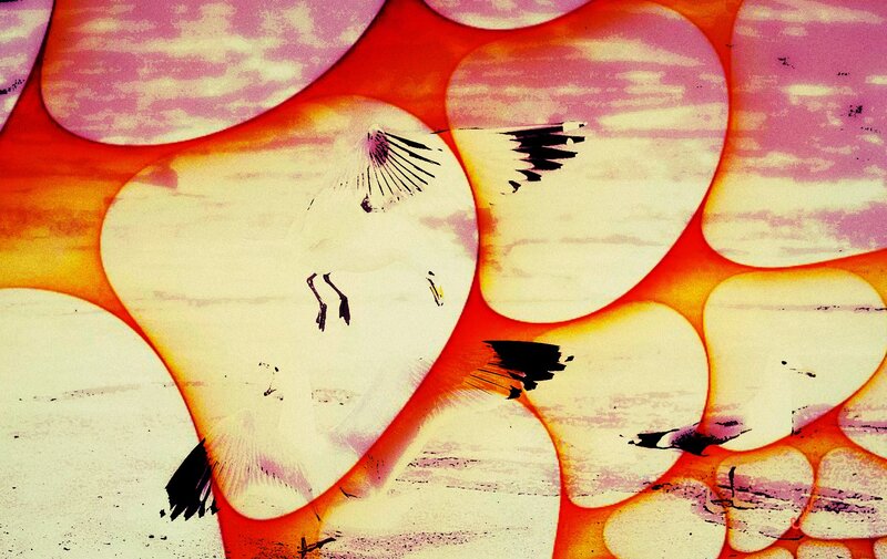 Abstract Bird Shapes — Red