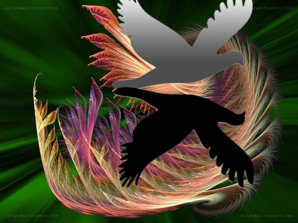 abstract bird silhouettes