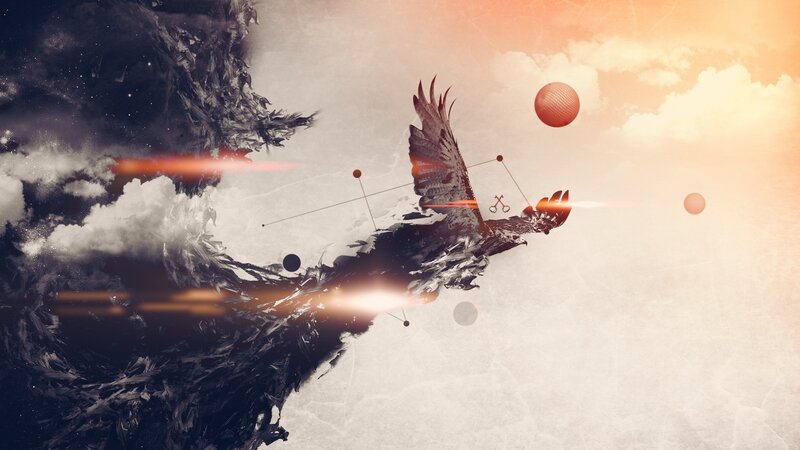 Abstract Bird with Wings