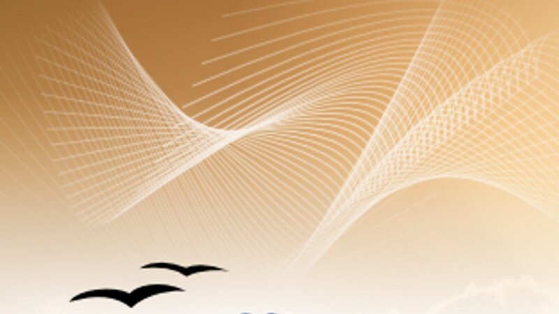 abstract birds in flight