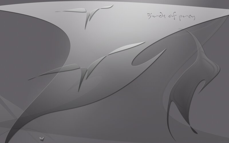 abstract birds of prey artwork