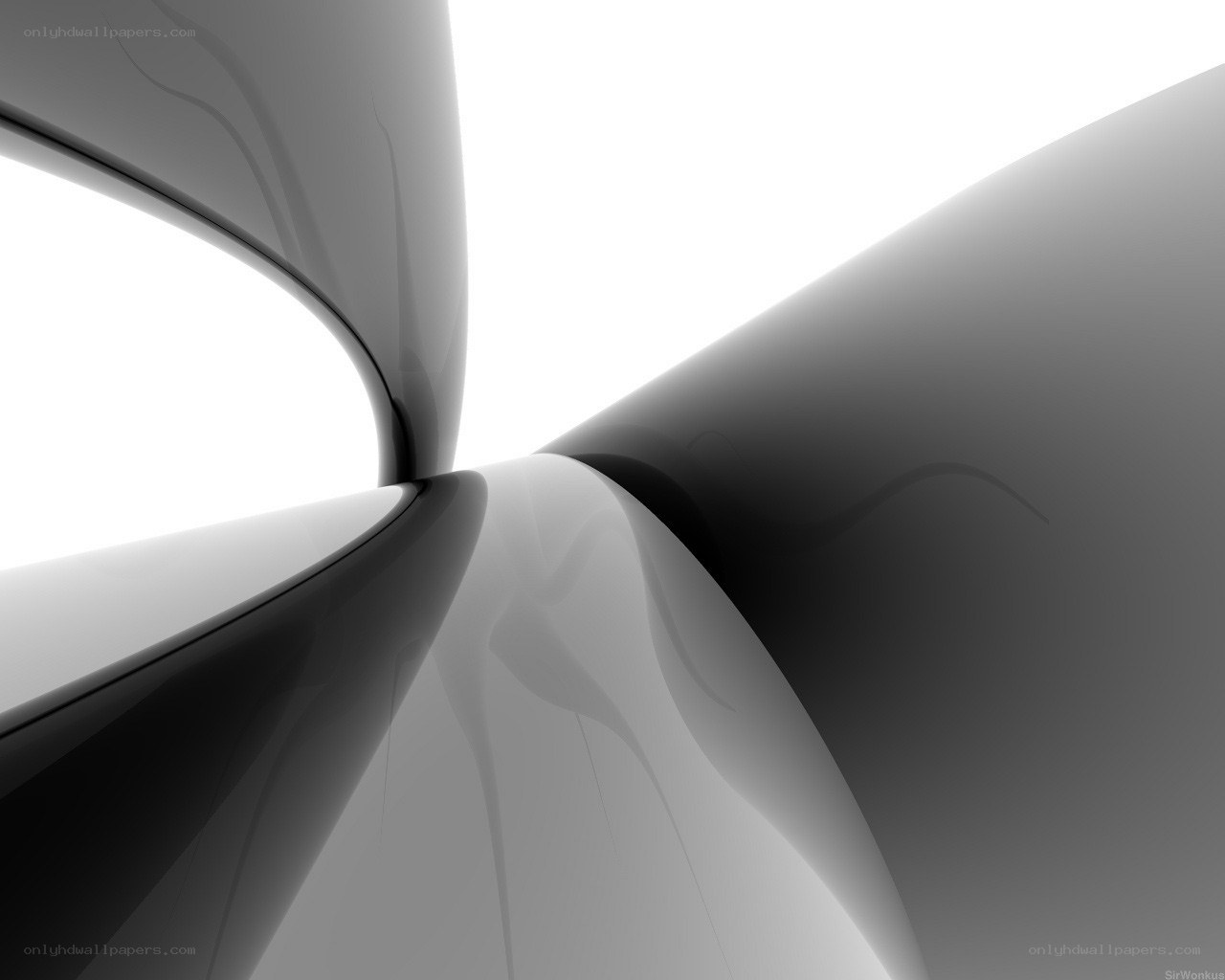 Abstract black and white curves