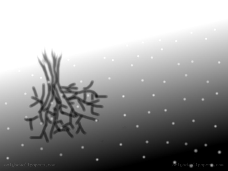 abstract black and white drawing
