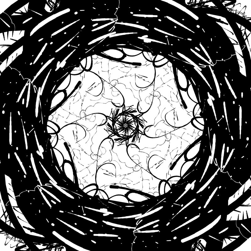 Abstract Black and White Drawing — Chaotic