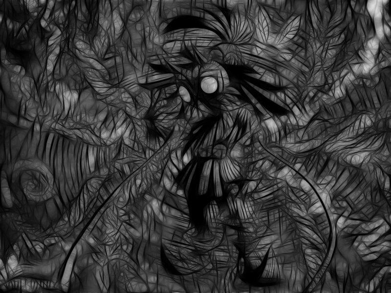 abstract black and white fractal art