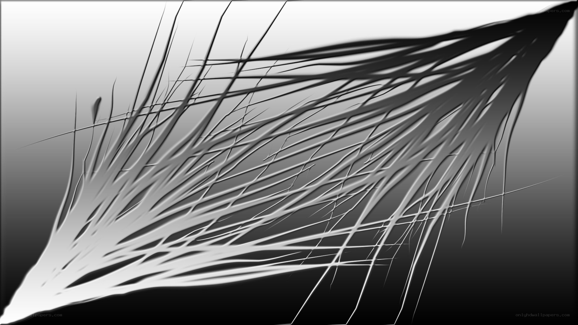 abstract black and white lines