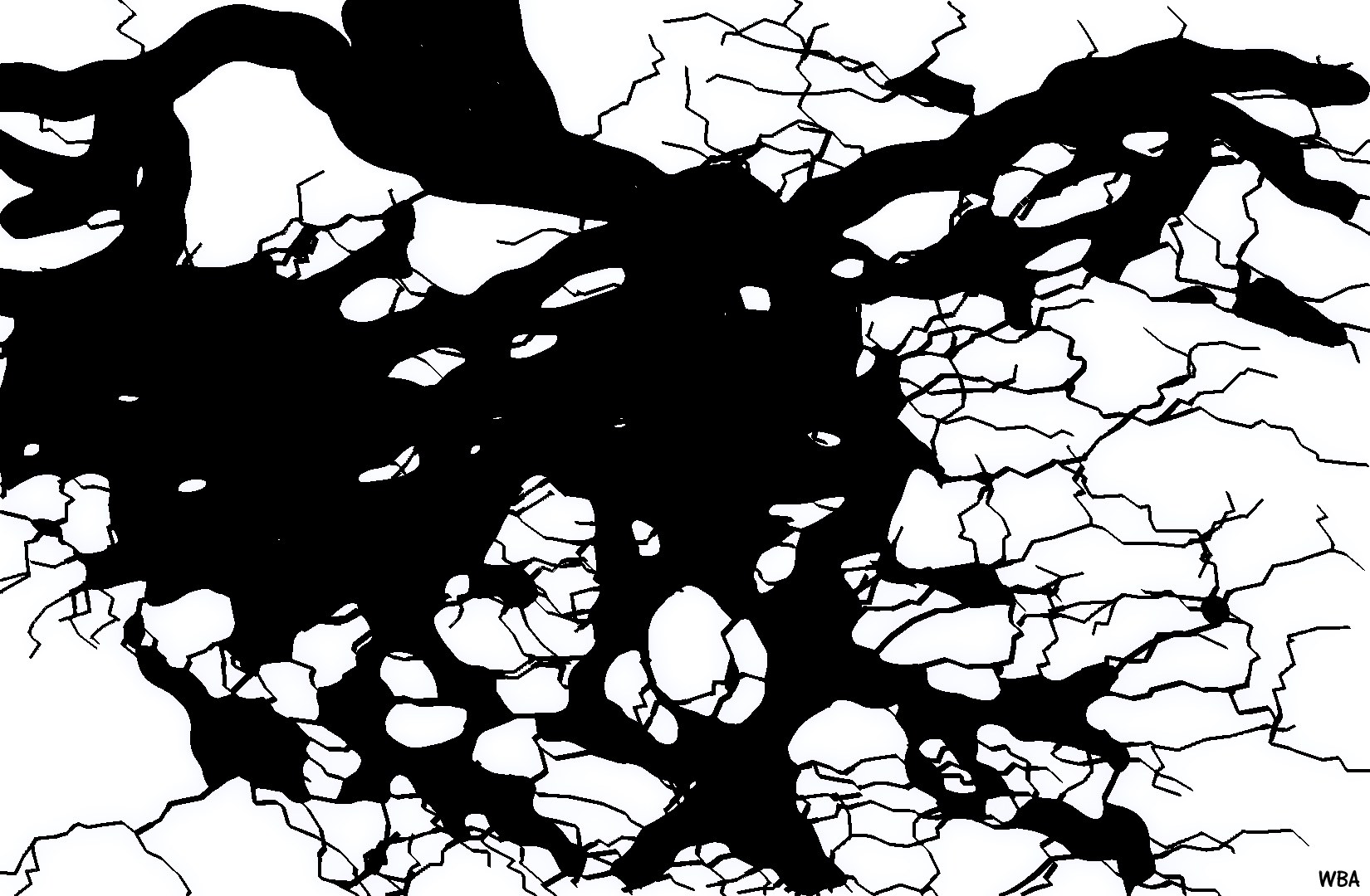 abstract black and white pattern