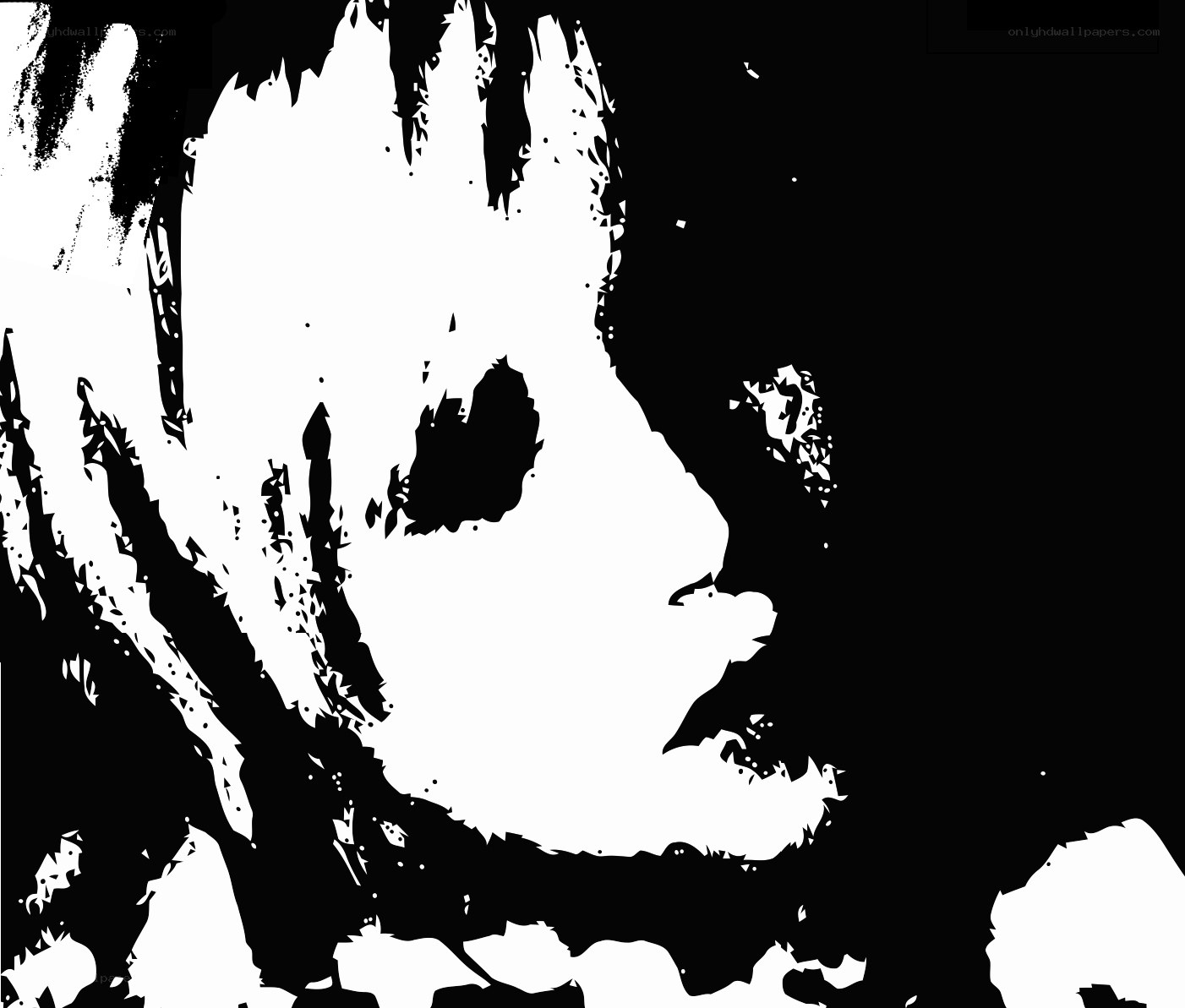 abstract black and white portrait