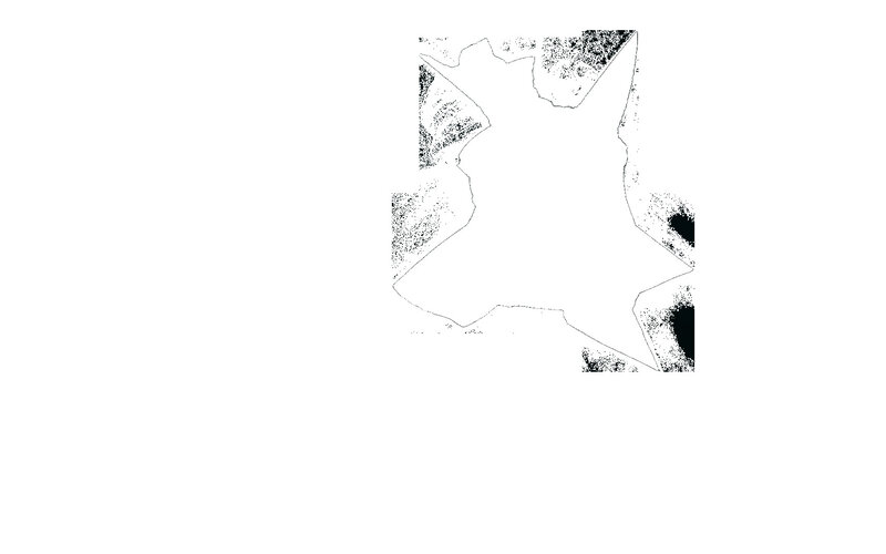 abstract black and white shape