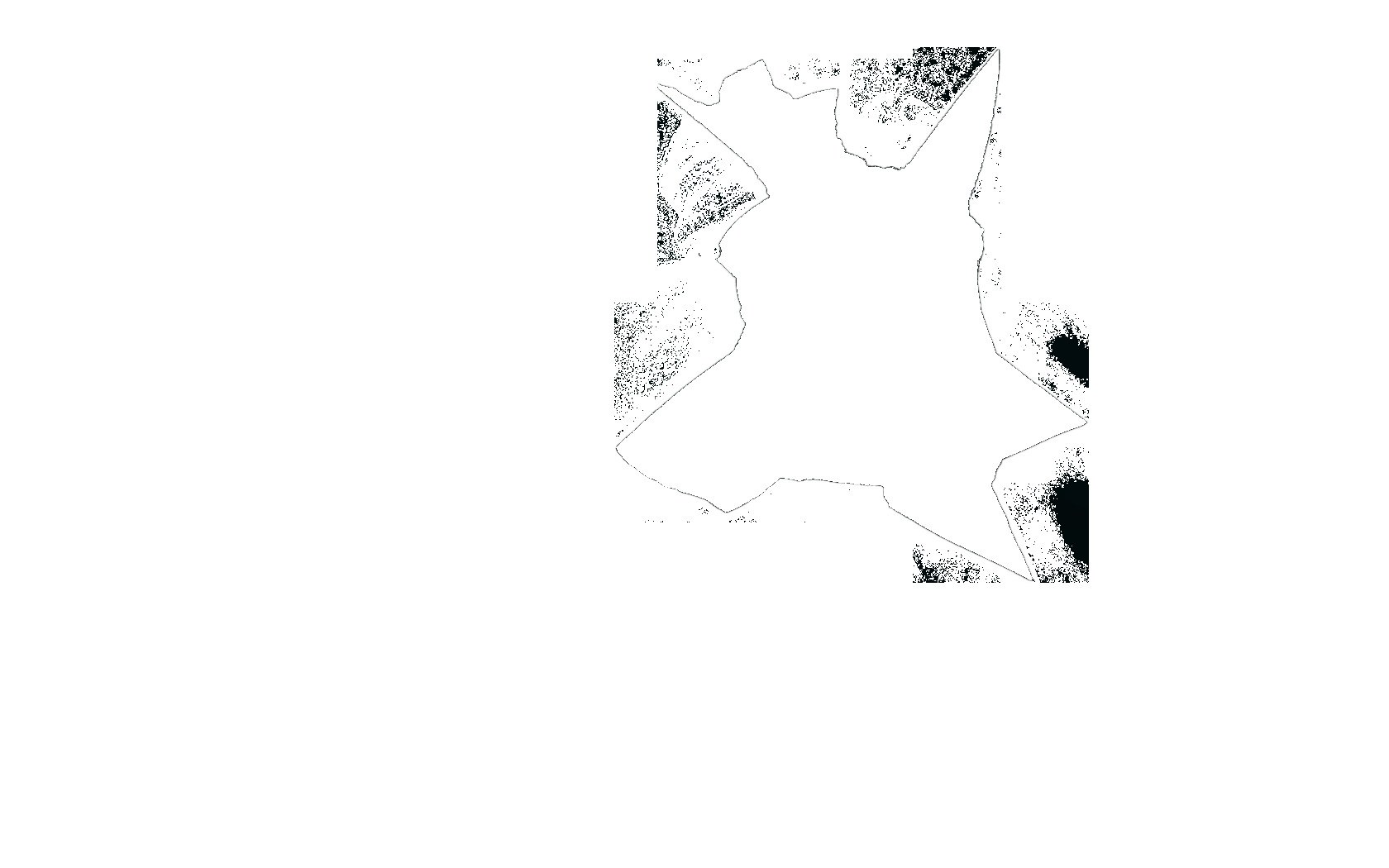 abstract black and white shape