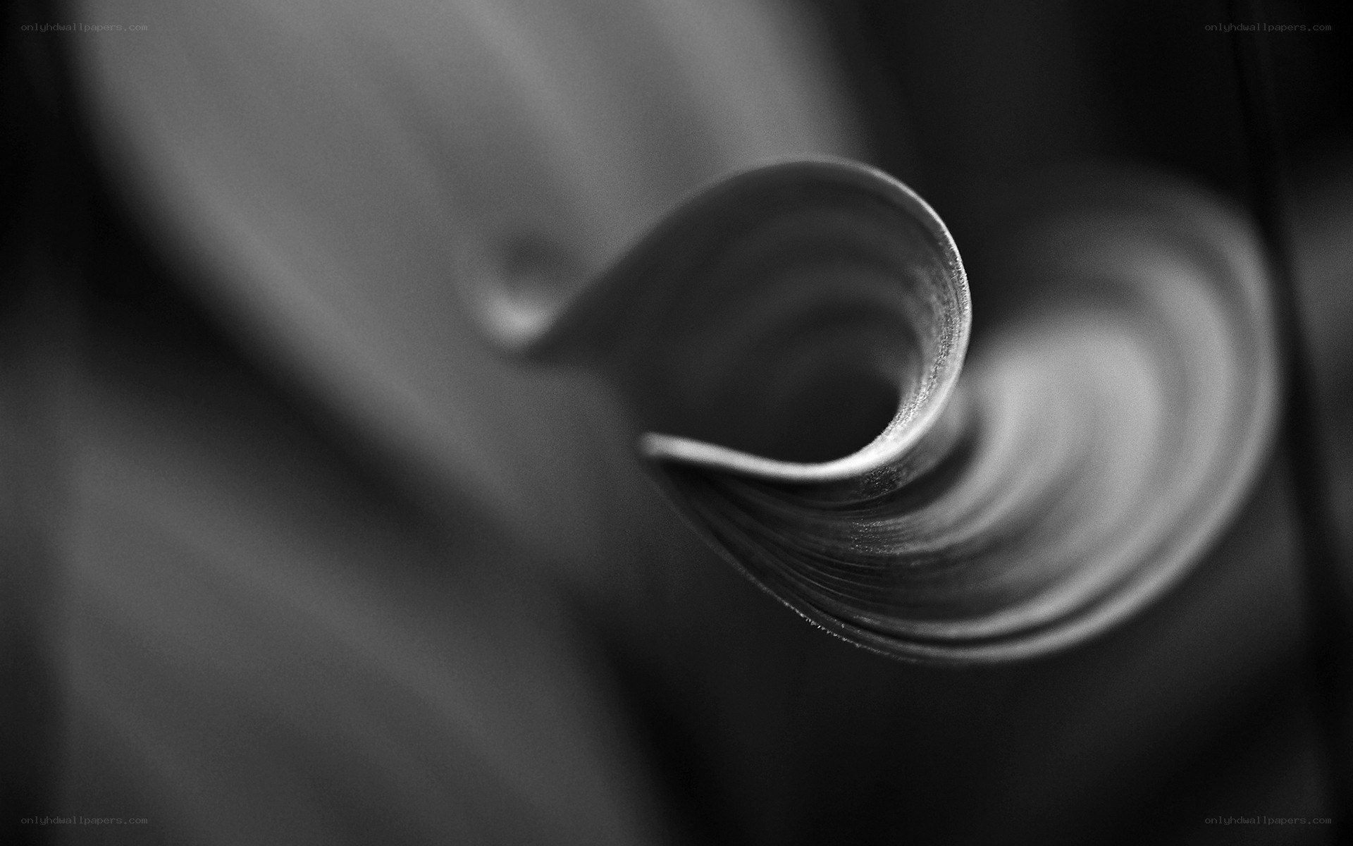 abstract black and white spiral