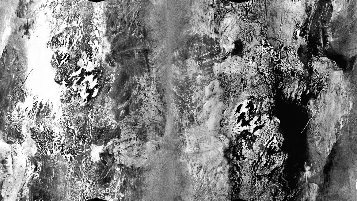 abstract black and white texture