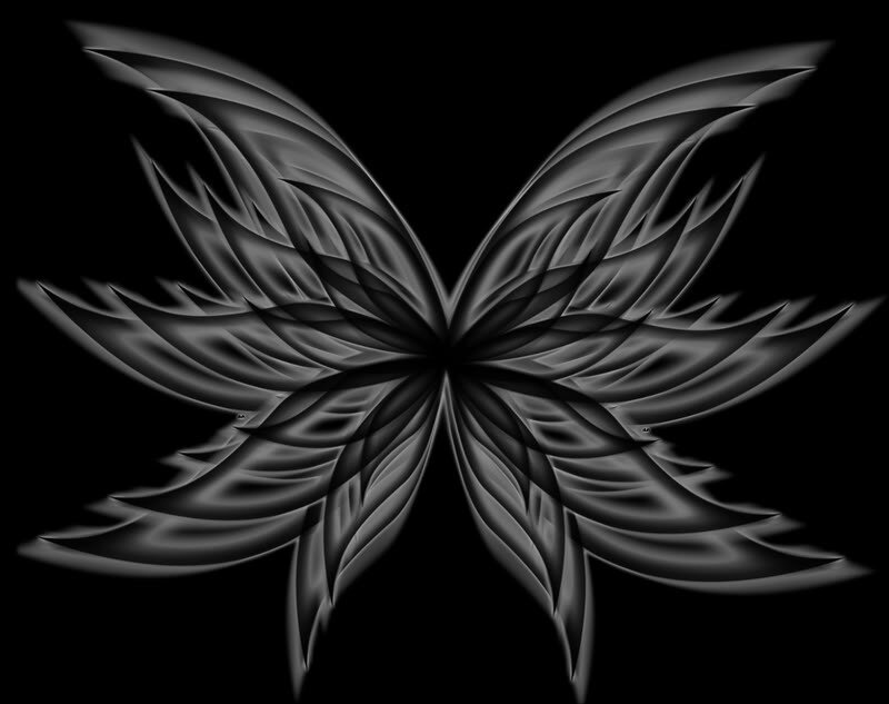 abstract black and white wings