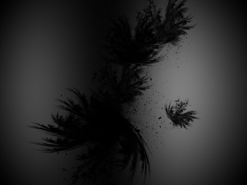 abstract black feather design
