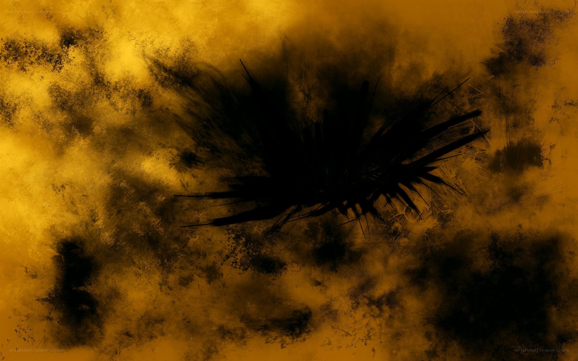 abstract black feather on gold