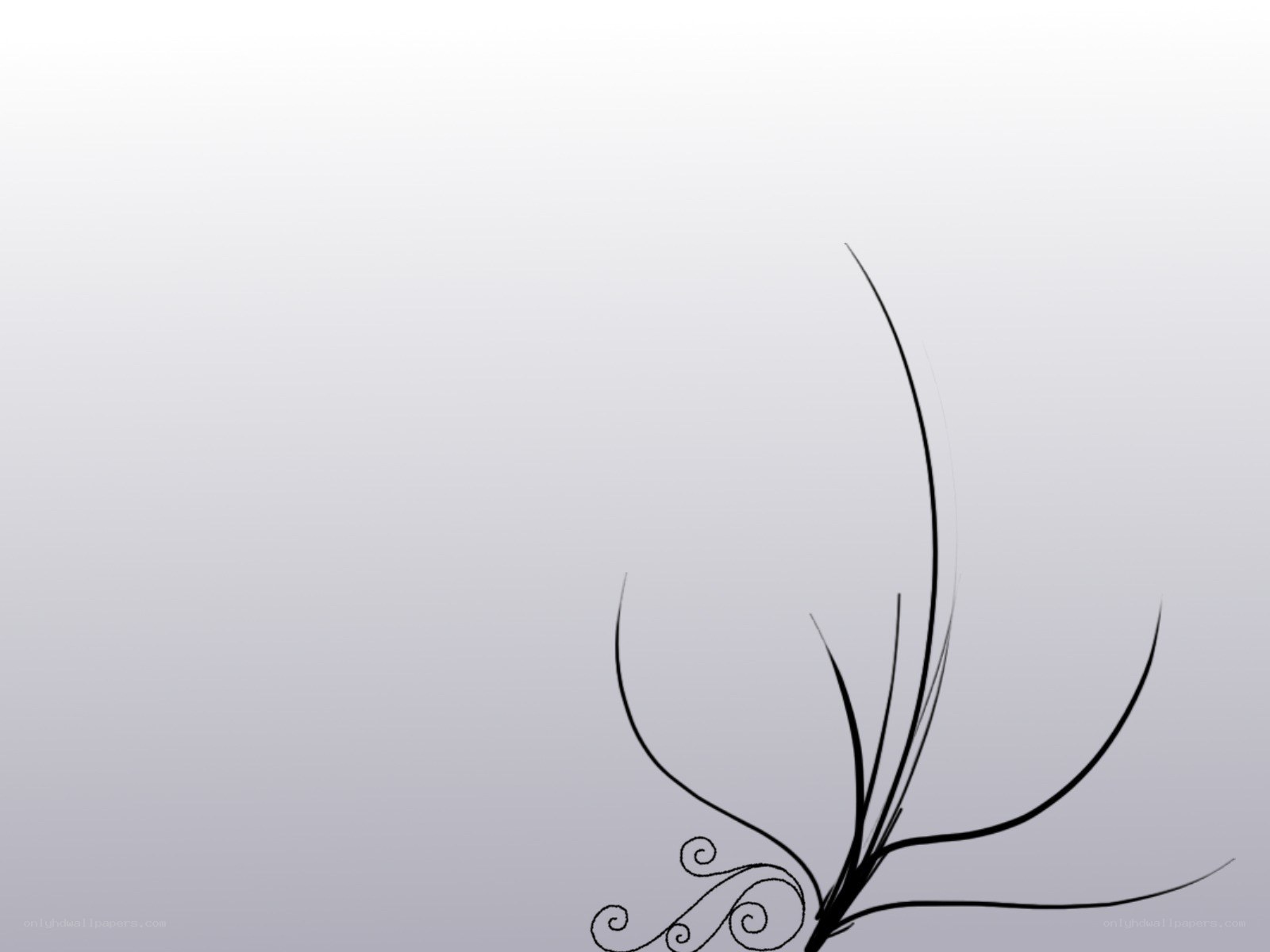 abstract black line art