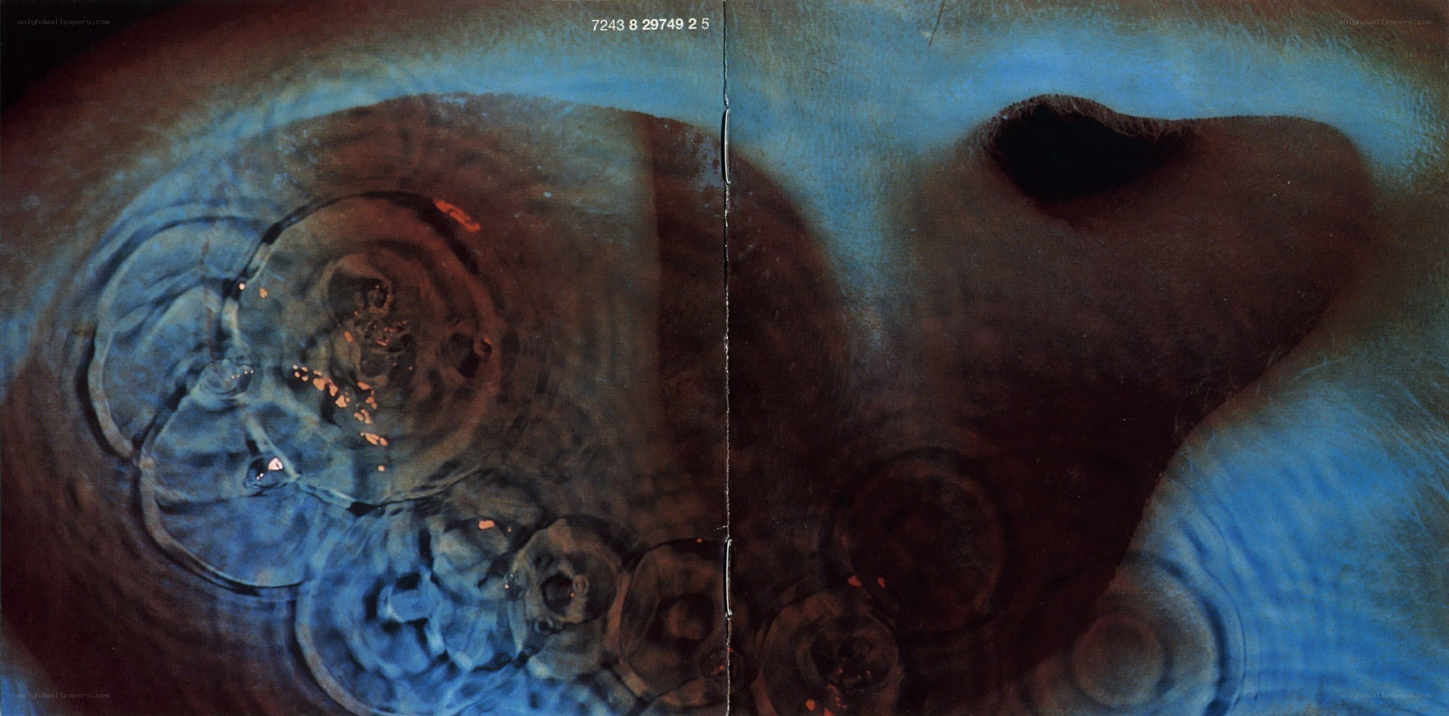 Abstract blue and brown swirls