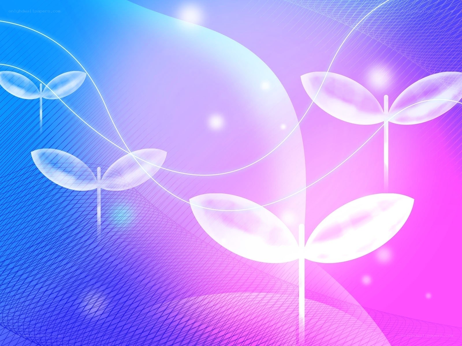 abstract blue and pink background
