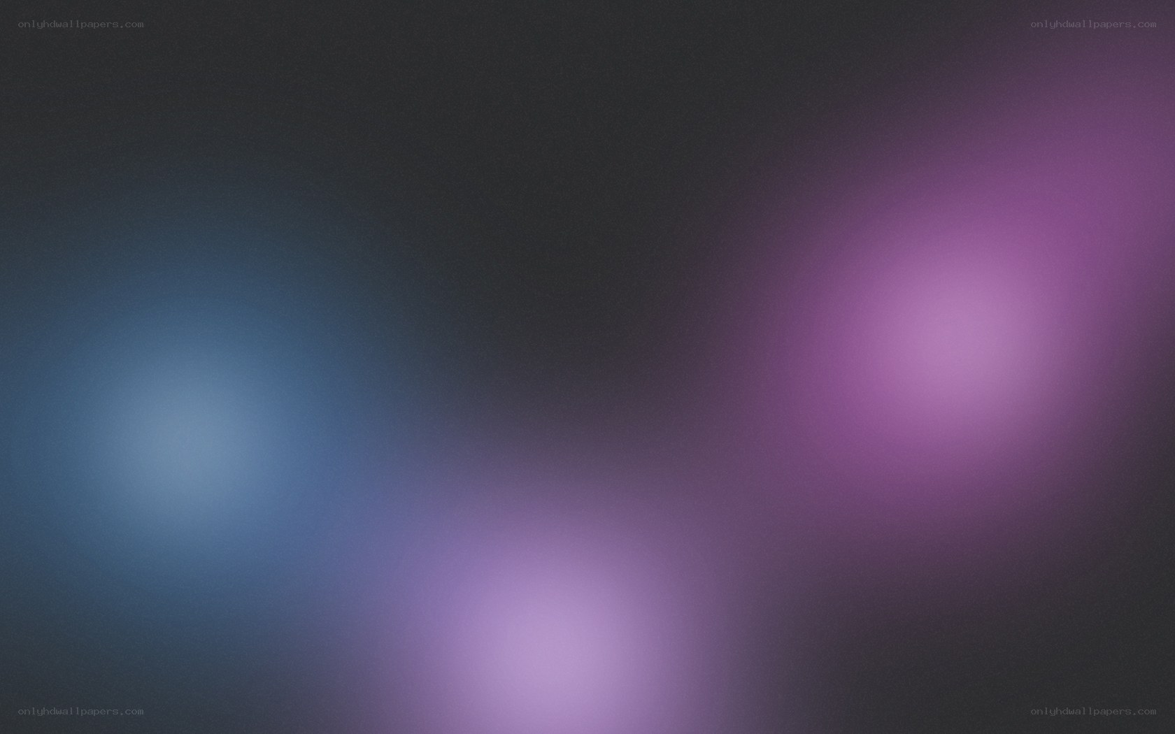 abstract blue and purple lights
