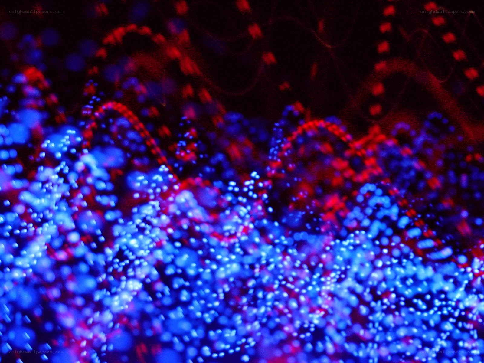 Abstract blue and red light patterns