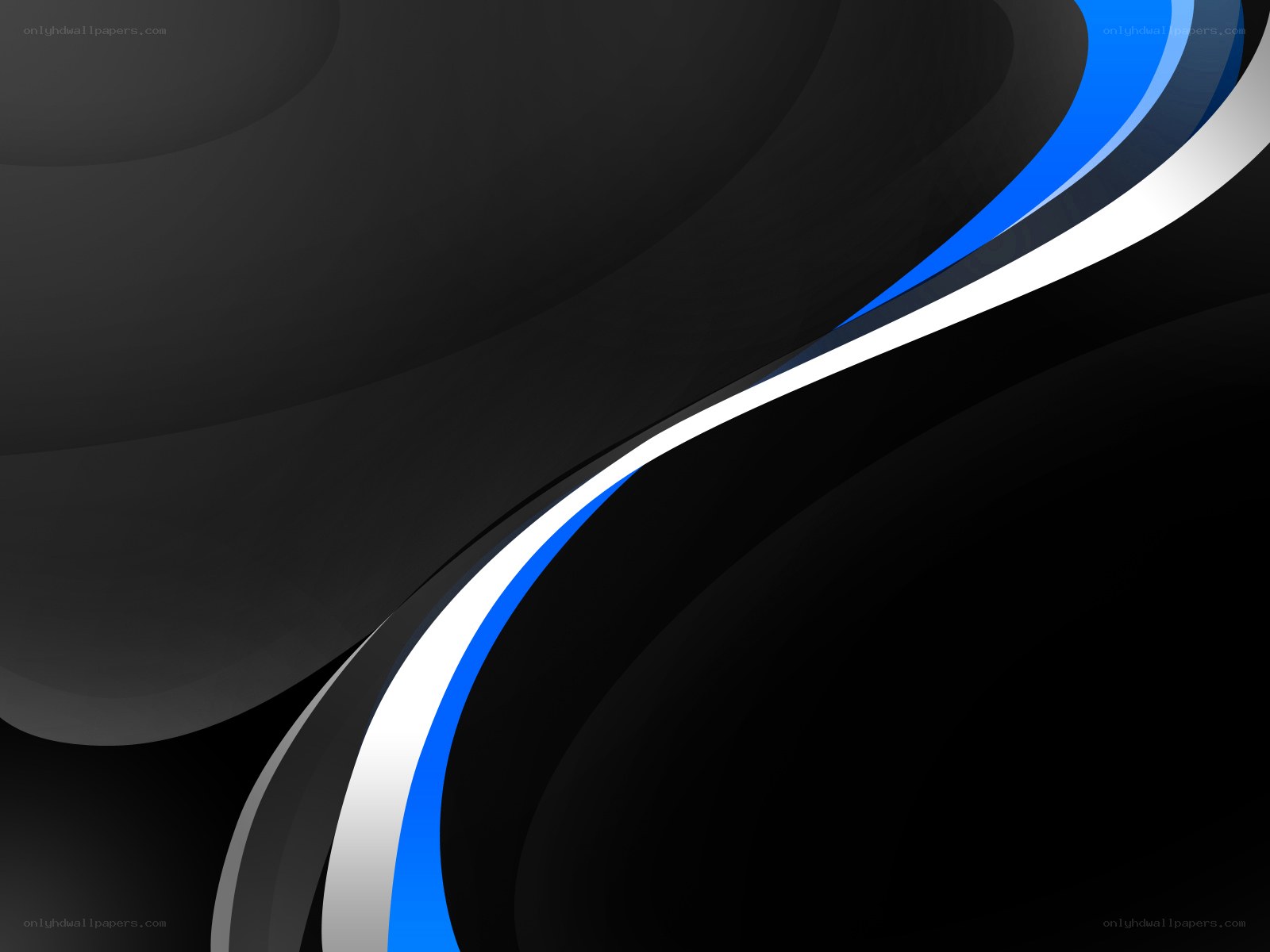 abstract blue and white curves