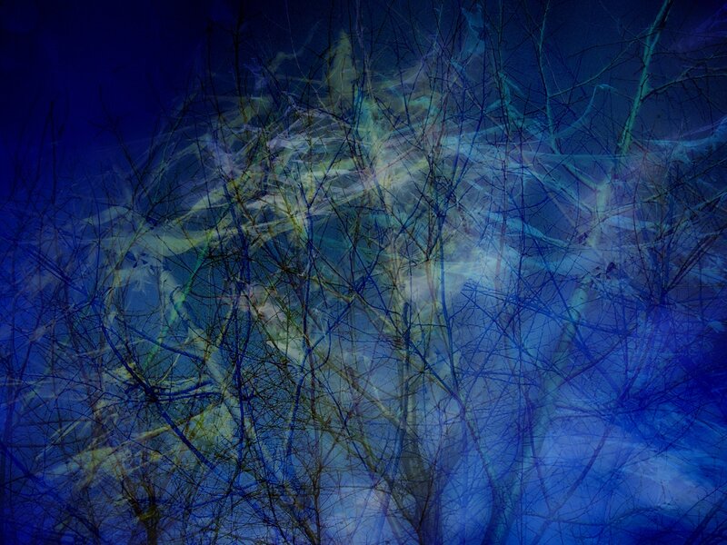 Abstract blue branches with light