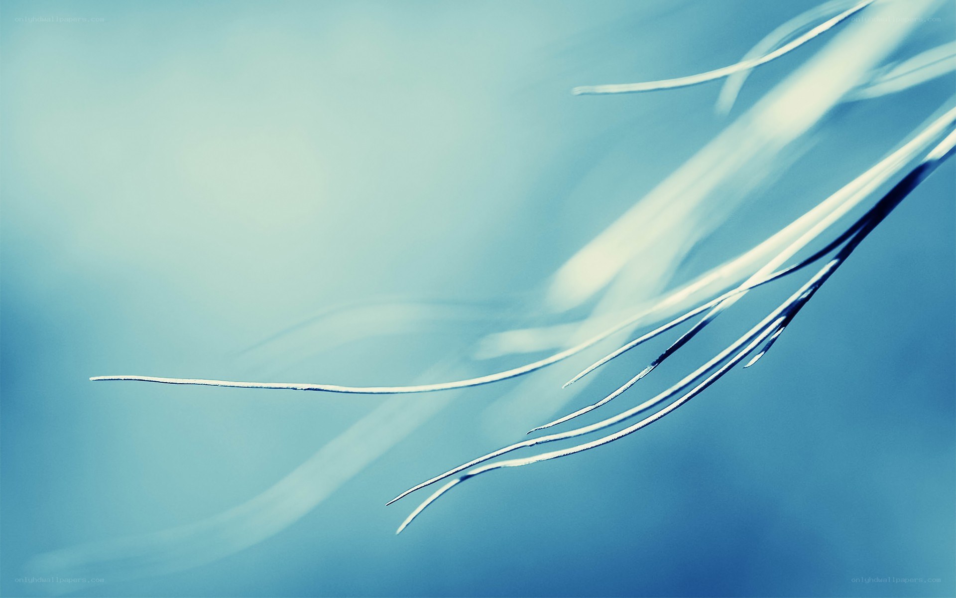 Abstract blue fiber strands