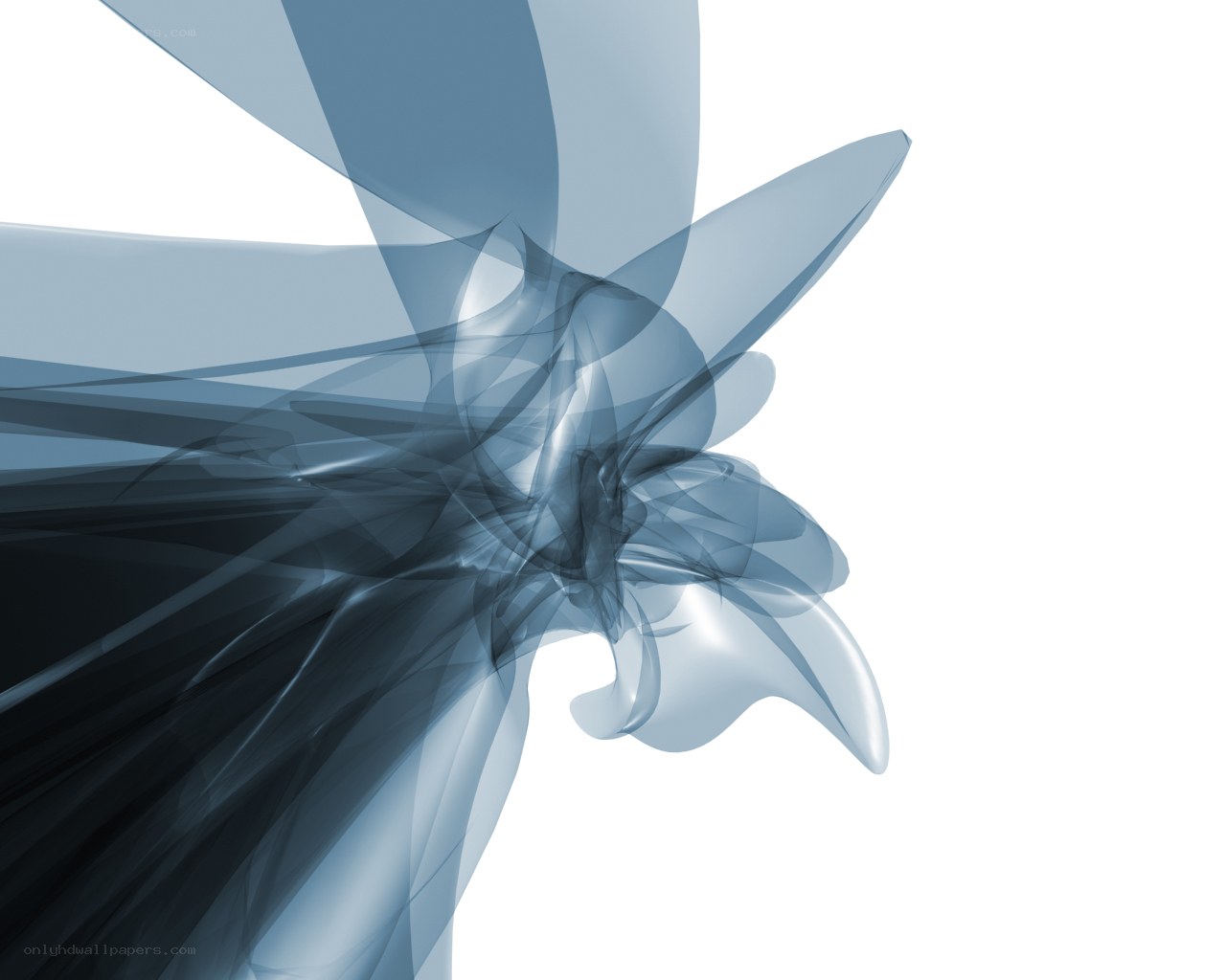abstract blue floral design