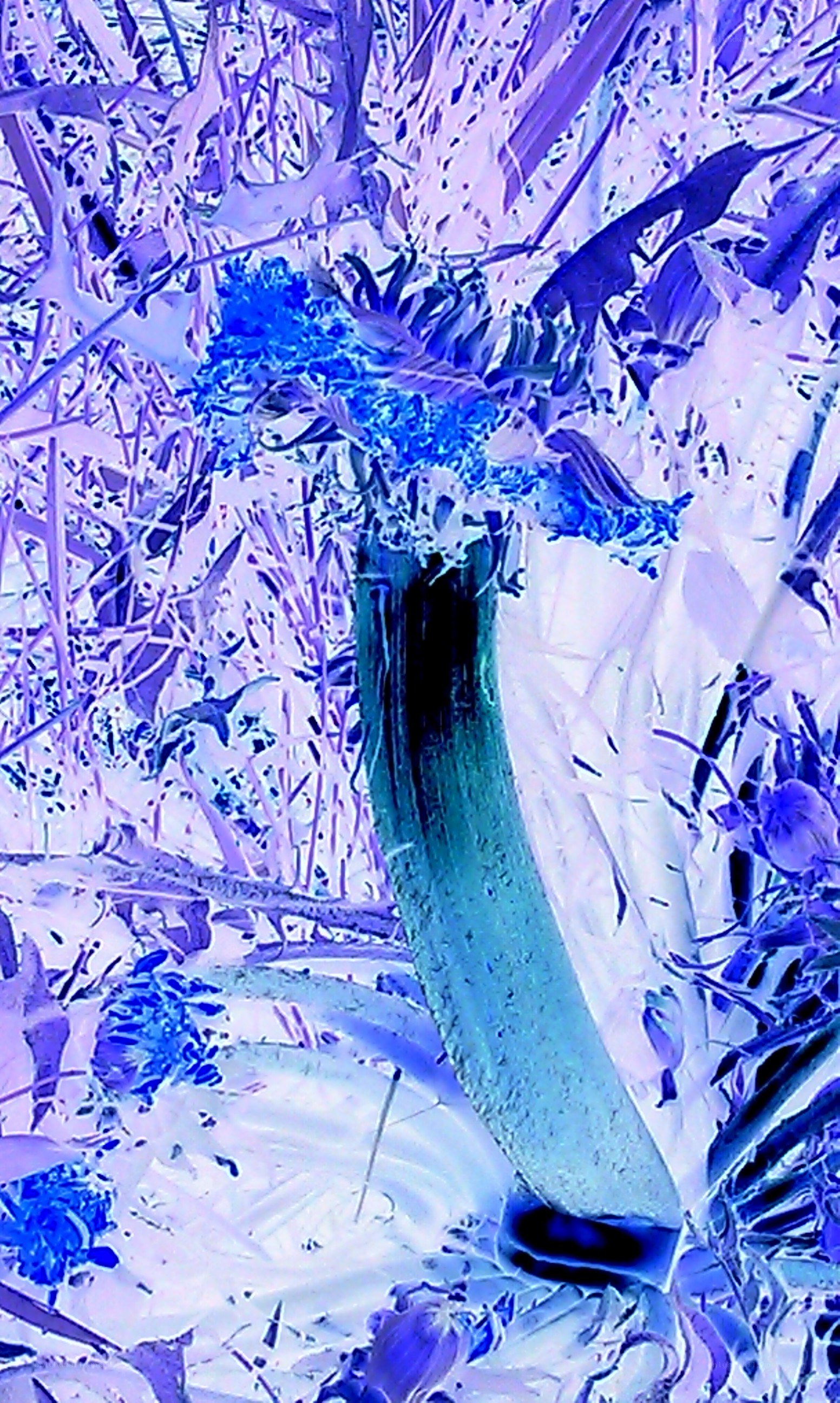 abstract blue plant form