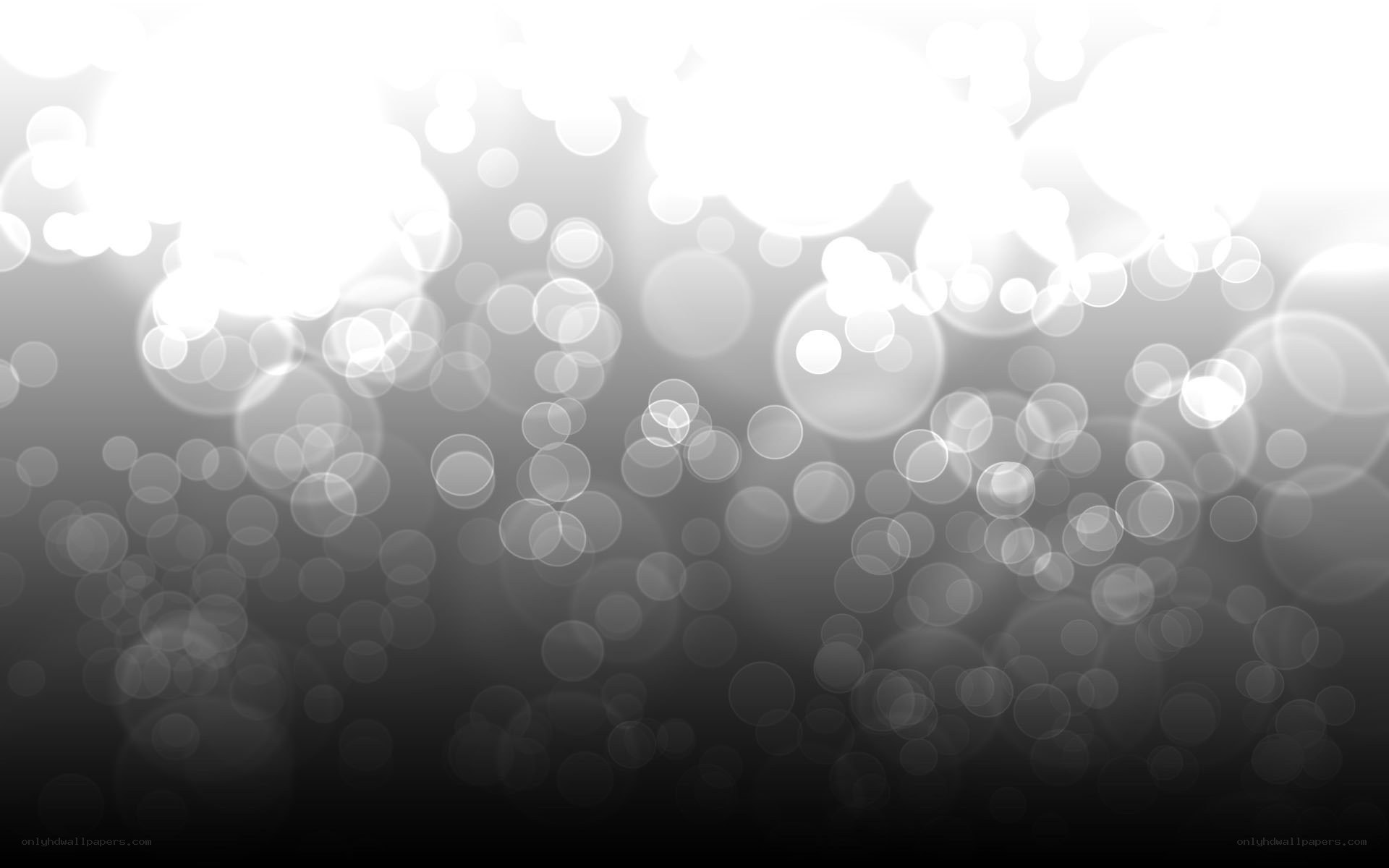 abstract bokeh light circles