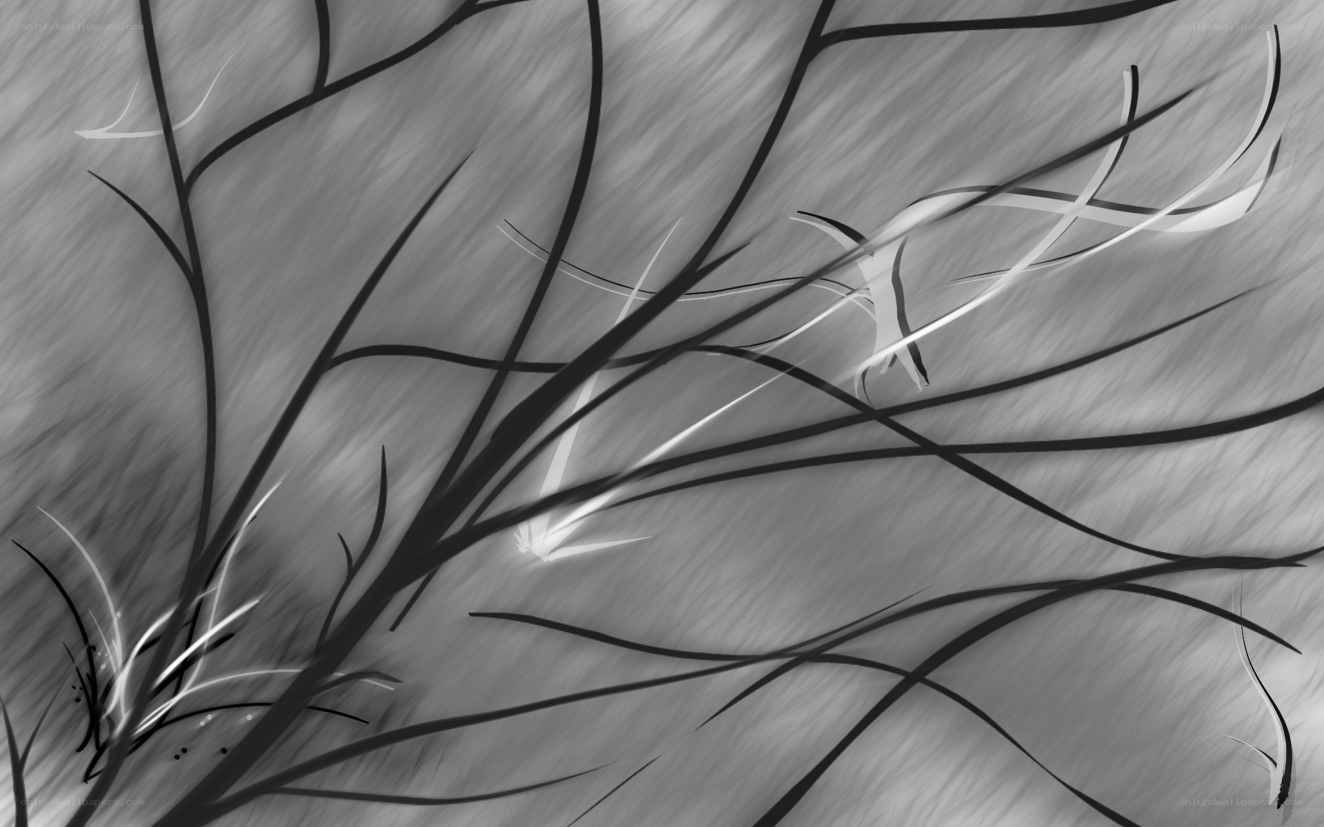 abstract branch patterns