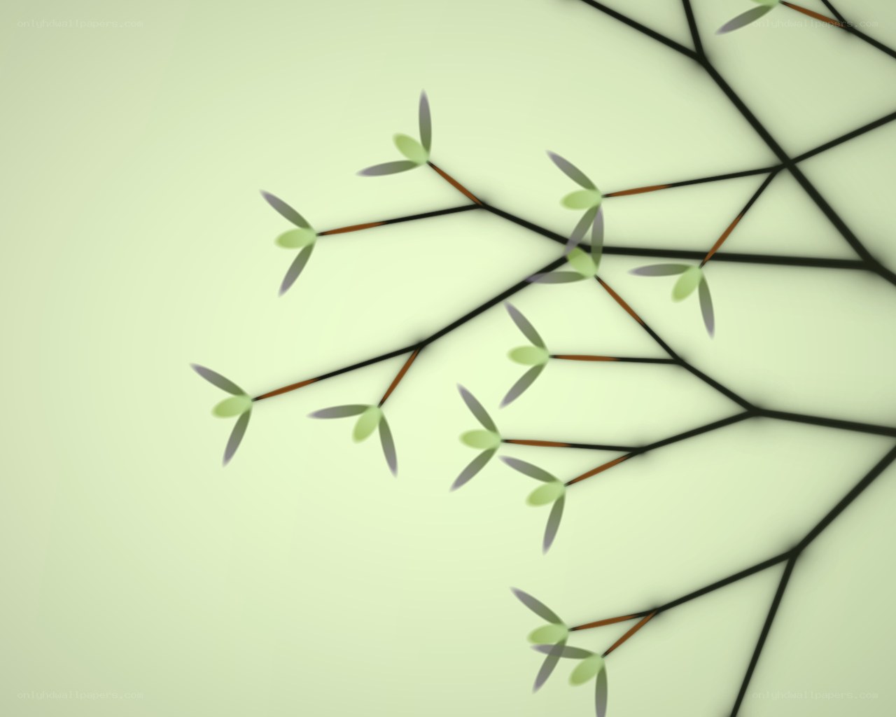 abstract branch with leaves