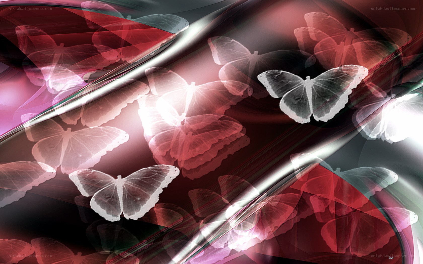 Abstract butterfly art