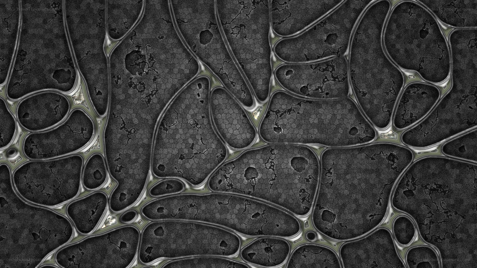 abstract cellular pattern