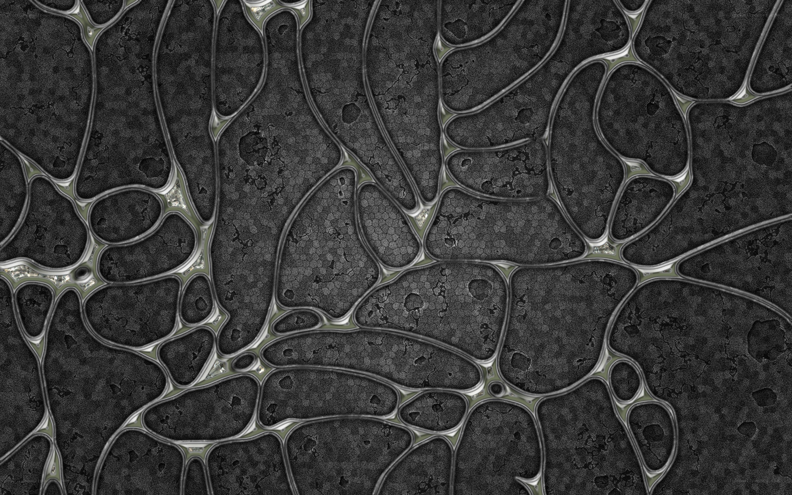 abstract cellular pattern