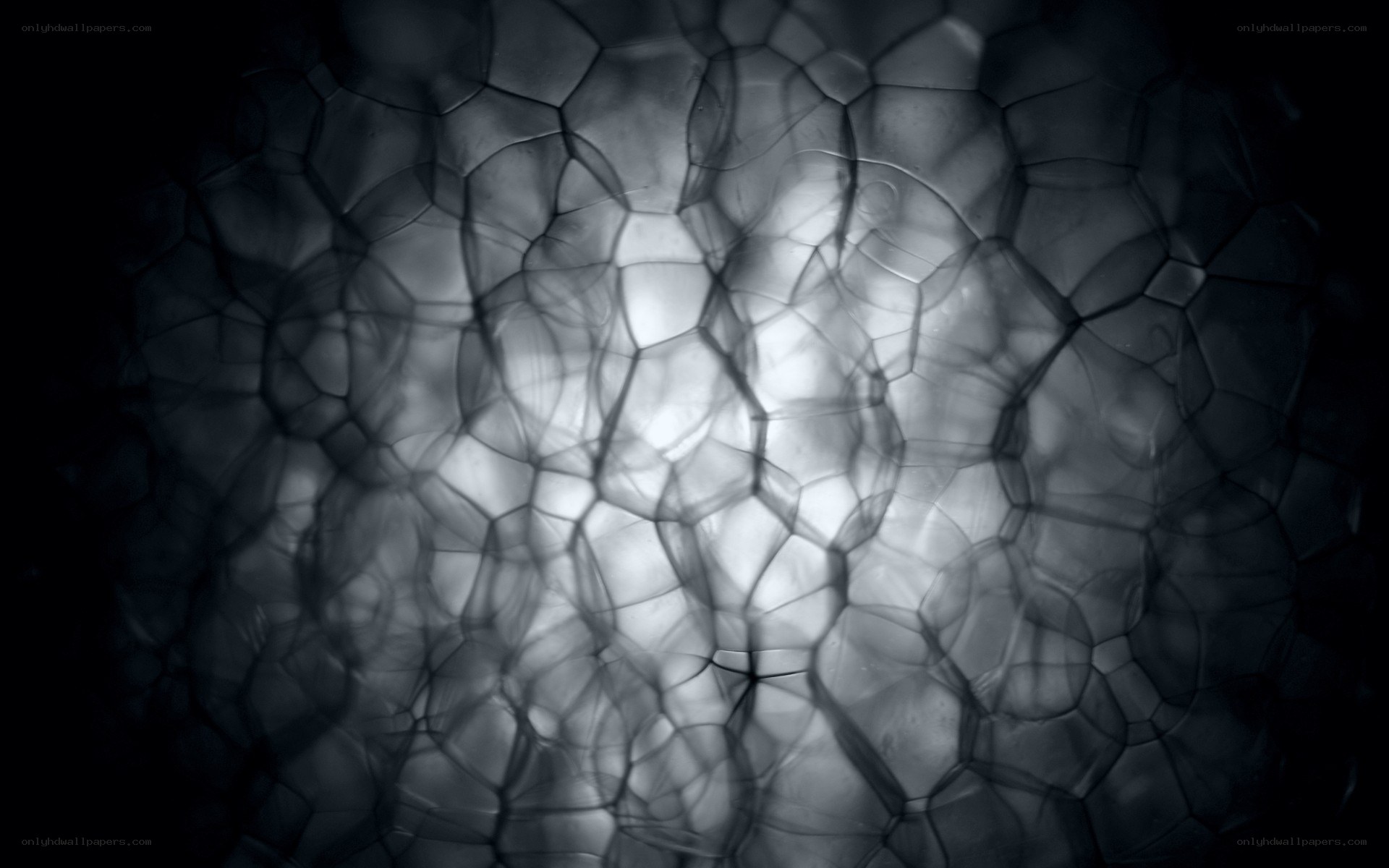 Abstract cellular pattern