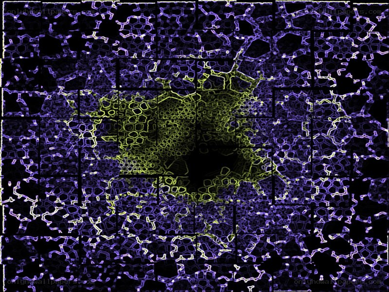 abstract cellular pattern