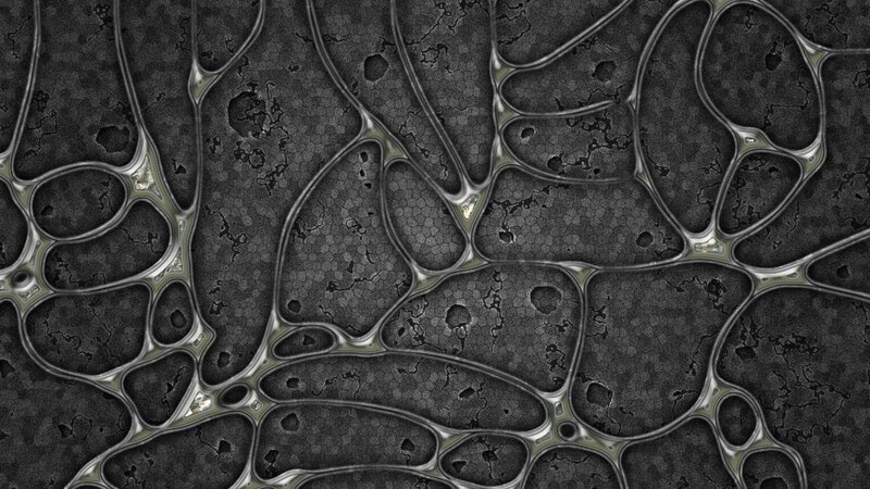 Abstract Cellular Pattern — Black, Dark, Digital Art