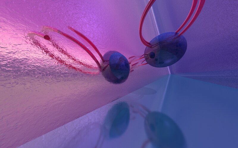 Abstract Cellular Structures — Purple, Dramatic