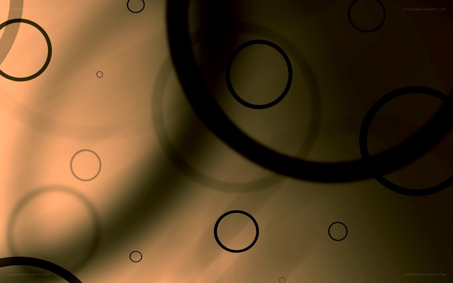 abstract circle pattern