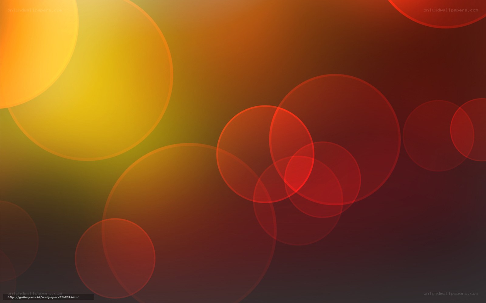 Abstract circle pattern wallpaper