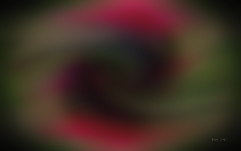 Abstract Color Swirl — Red