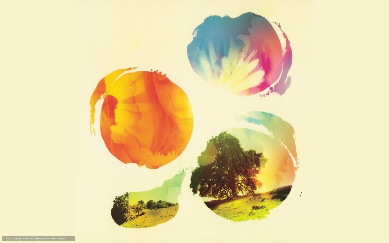 abstract colorful circles with nature scenes
